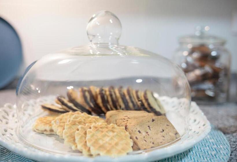 Fotos del hotel Casa Shelly Hospedería:  3