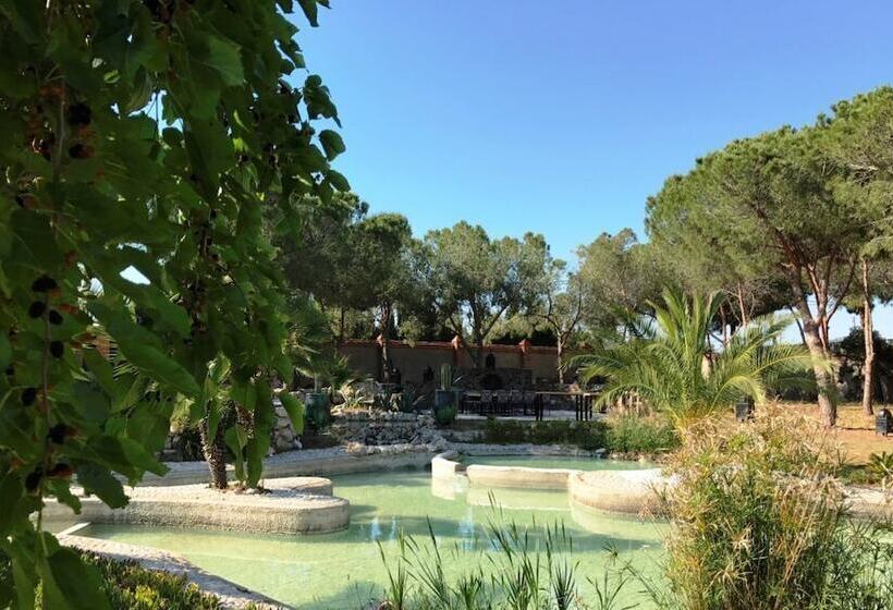 Fotos del hotel Gran Villa Rosa:  1