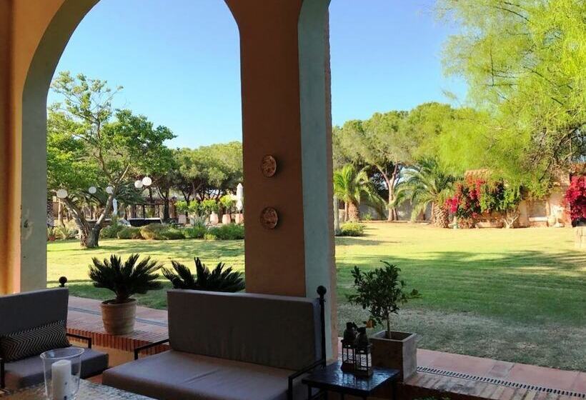 Fotos del hotel Gran Villa Rosa:  13