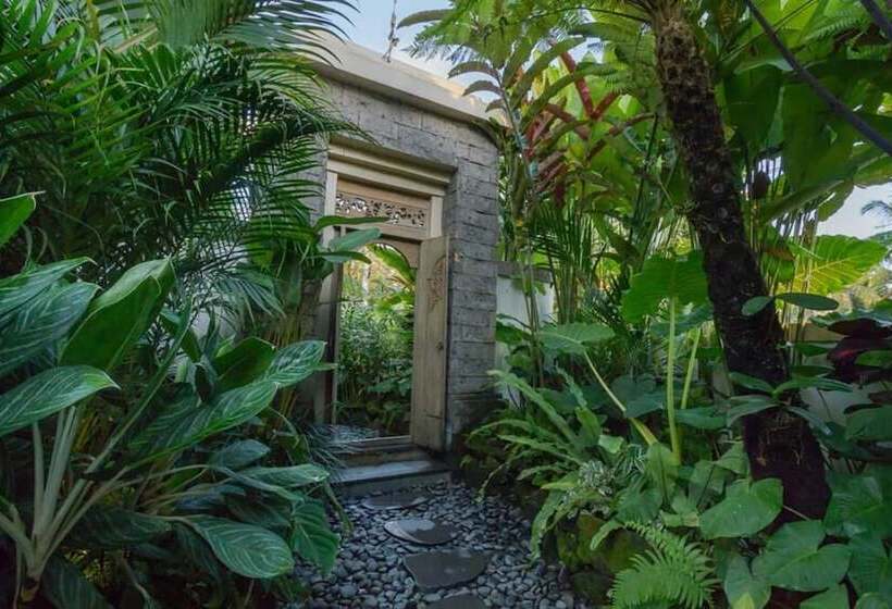 Fotos del hotel Jani S Place Cottage:  12