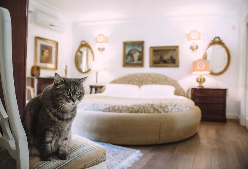 Fotos del hotel B&b Triskéles:  3