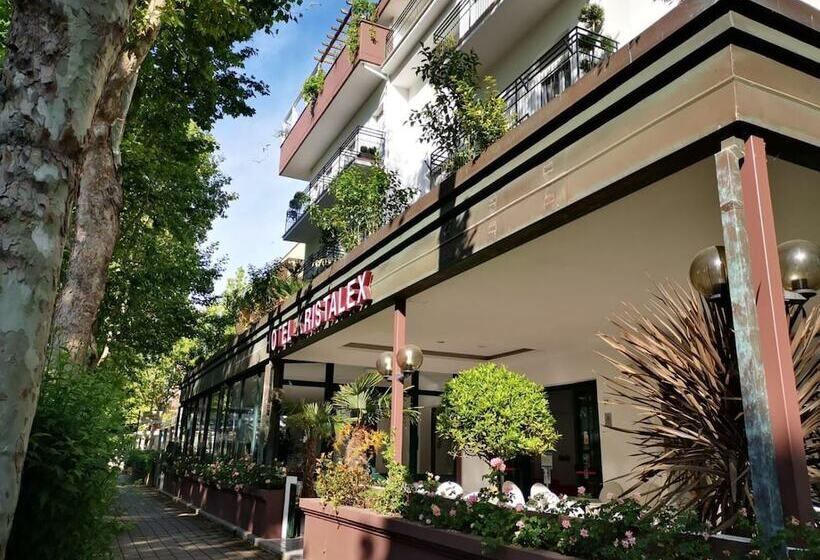 Fotos del hotel Kristalex Pet Family:  7