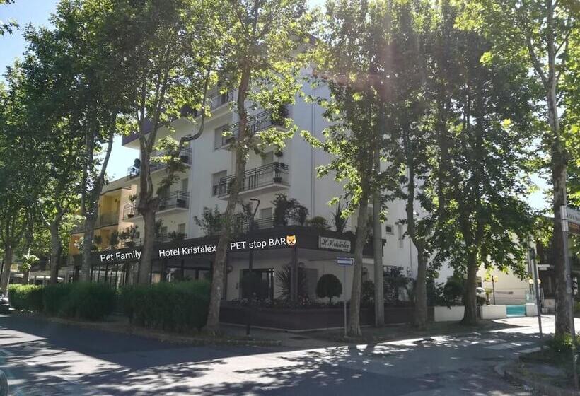Fotos del hotel Kristalex Pet Family:  10