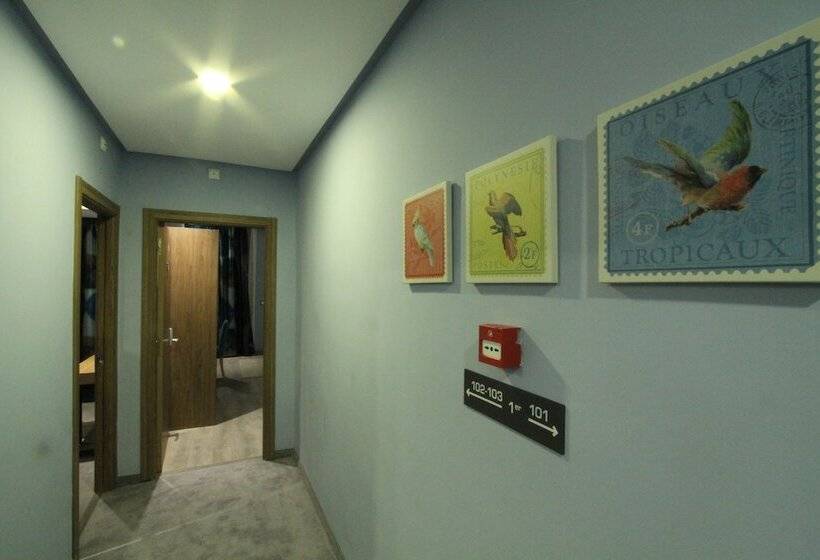 Fotos del hotel My Loft Anfa:  11