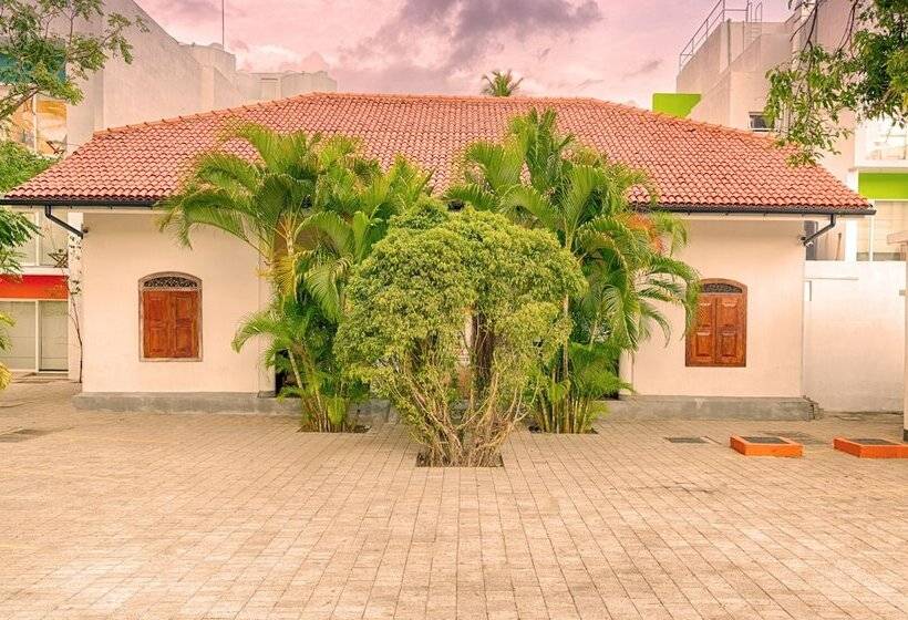 Fotos del hotel J, Unawatuna:  8