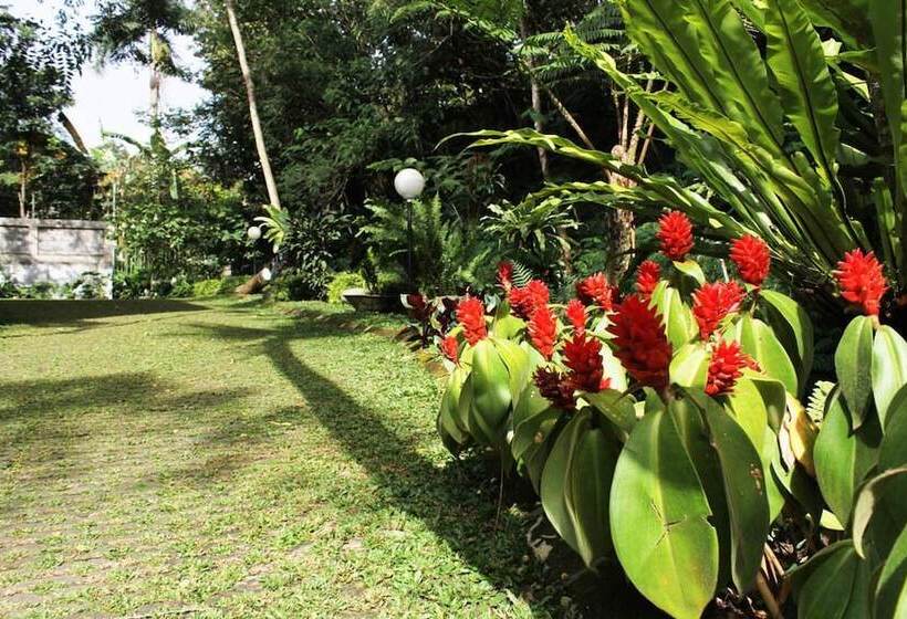 Fotos del hotel Villatel Salse:  14