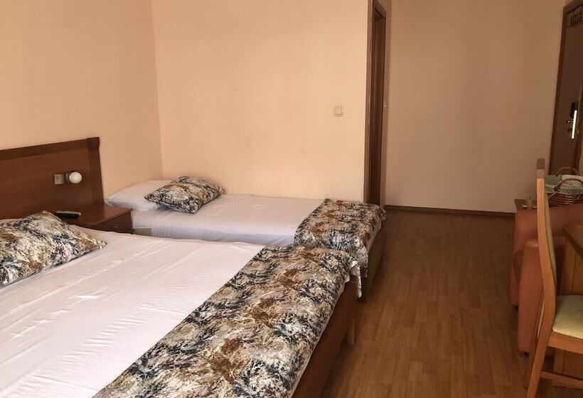 Fotos del hotel Mena:  21