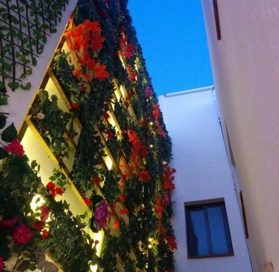 Fotos del hotel Lucero 12 Marbella Hostal Boutique:  19