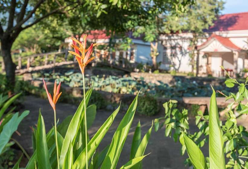 Fotos del hotel Xuanmai Garden Resort:  19