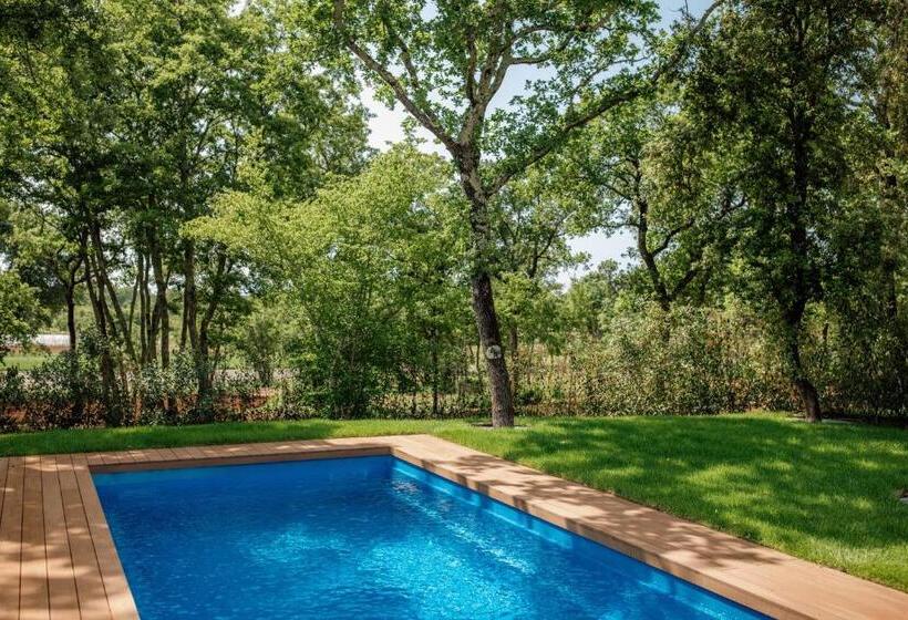 Fotos del hotel Meneghetti Wine  And Winery  Relais & Chateaux:  23