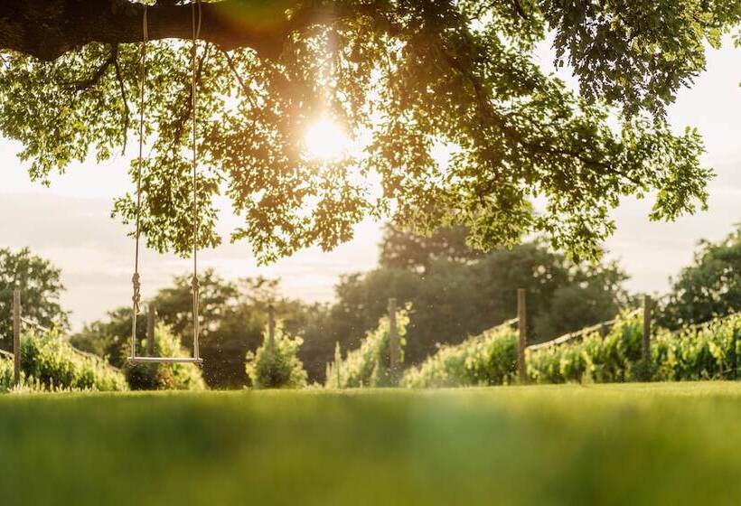 Fotos del hotel Meneghetti Wine  And Winery  Relais & Chateaux:  17