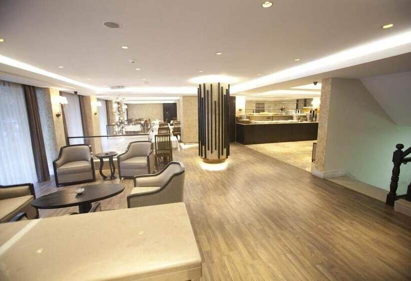 Fotos del hotel Grand Laleli:  12