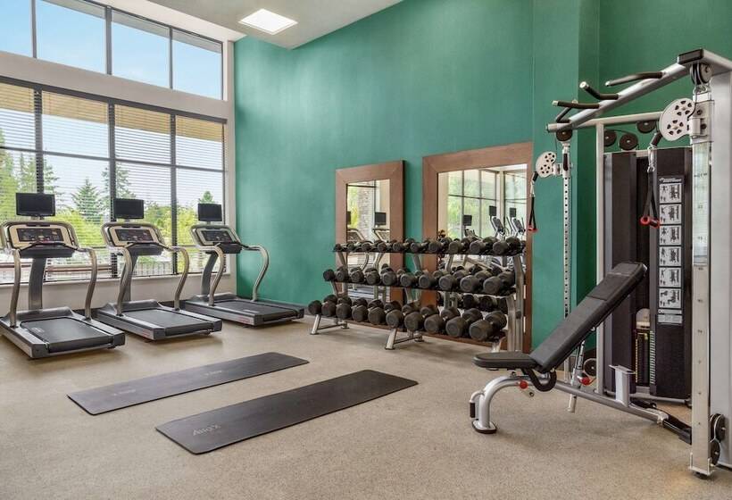 Fotos del hotel Hilton Garden Inn Seattle Airport:  15