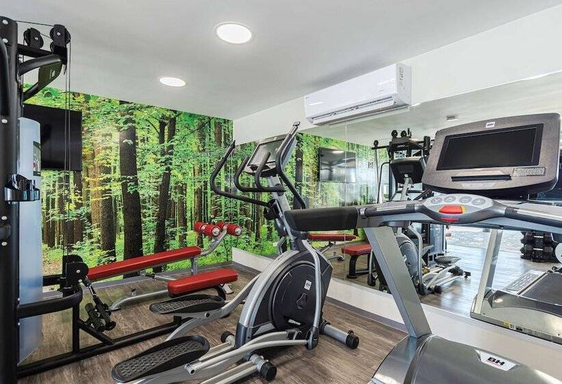 Fotos del hotel Nh Collection Merida Paseo Montejo:  13