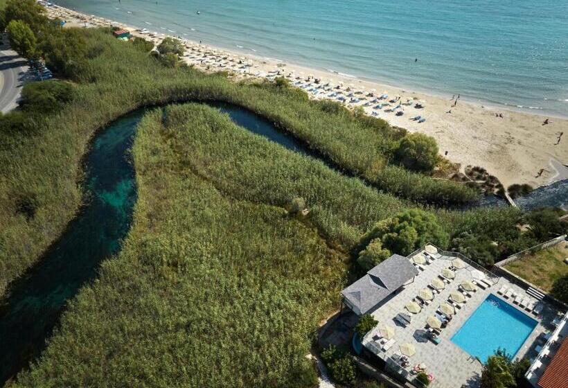 Fotos del hotel Blu Acqua:  4