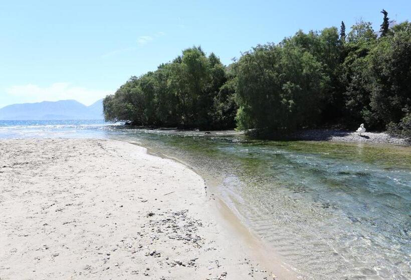 Fotos del hotel Blu Acqua:  9