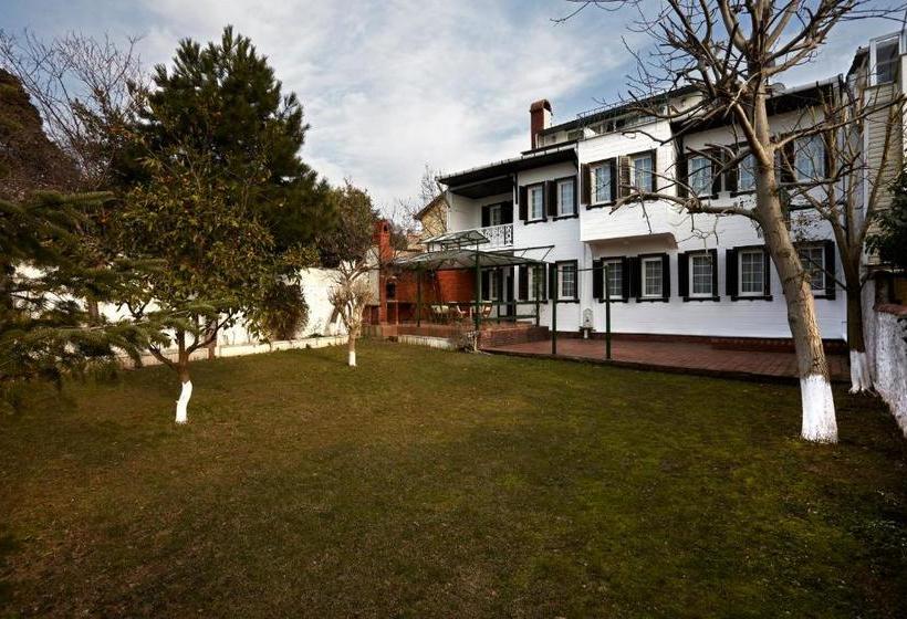 Fotos del hotel Bosphorus Konak:  18