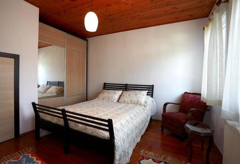 Fotos del hotel Bosphorus Konak:  15