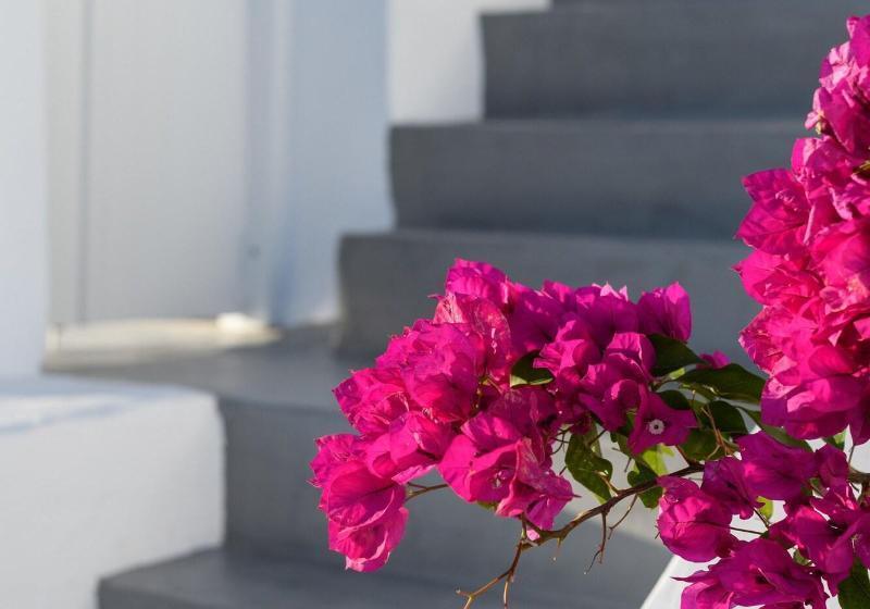 Echoes Luxury Suites