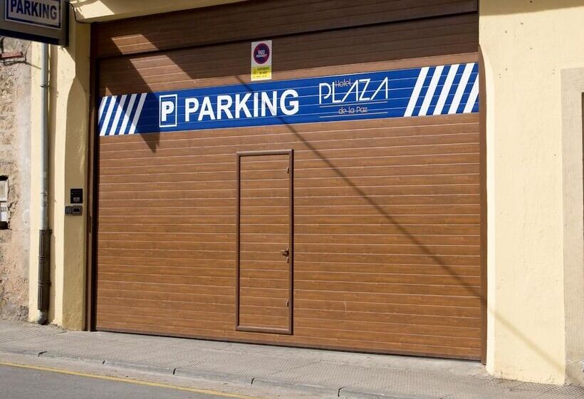 Fotos del hotel Plaza De La Paz:  13