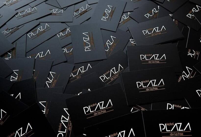Fotos del hotel Plaza De La Paz:  6