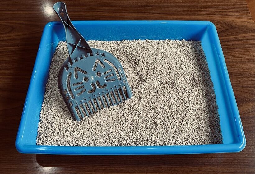 Fotos del hotel San Lucas:  7