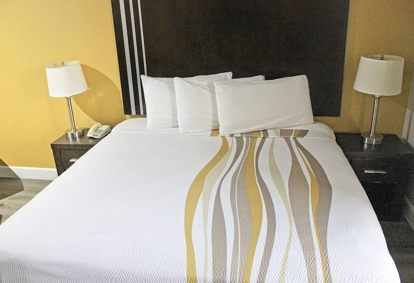 Fotos del hotel Palacio Royale Inn Houston Nw:  6