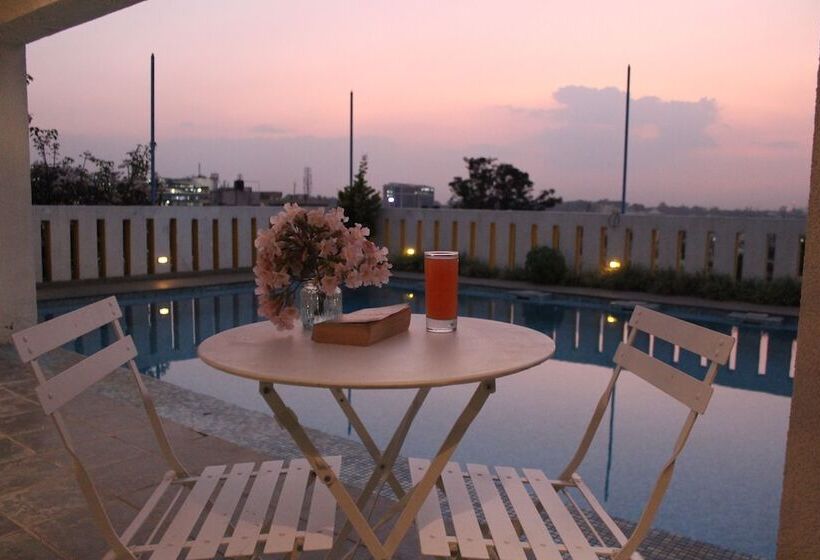 Fotos del hotel White Canvas:  17