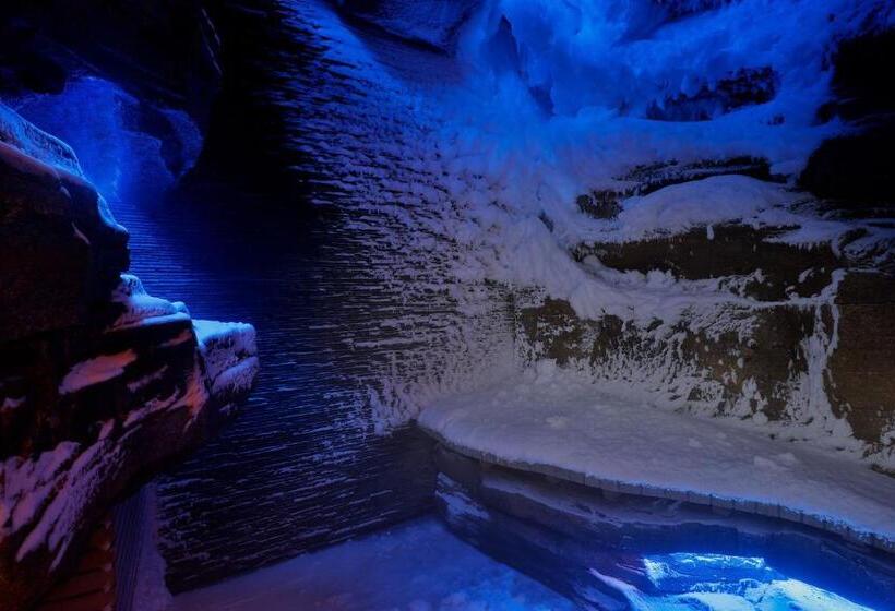 Fotos del hotel Al Wathba, A Luxury Collection Desert Resort & Spa, Abu Dhabi:  14