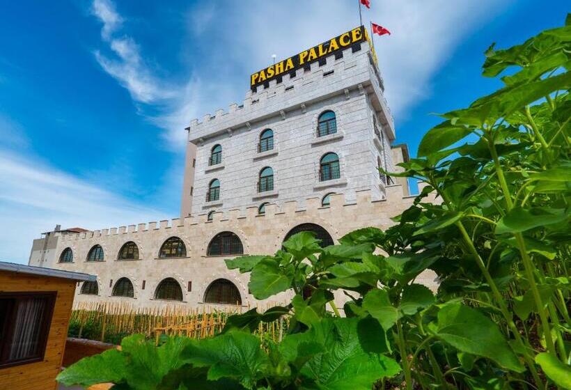 Fotos del hotel Pasha Palace:  3