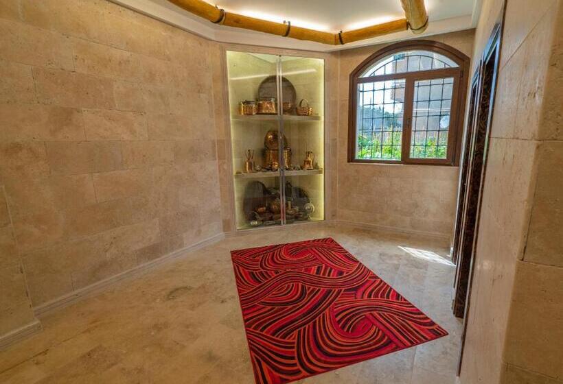 Fotos del hotel Pasha Palace:  21