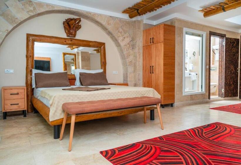 Fotos del hotel Pasha Palace:  13