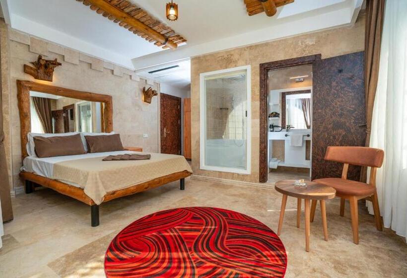 Fotos del hotel Pasha Palace:  10