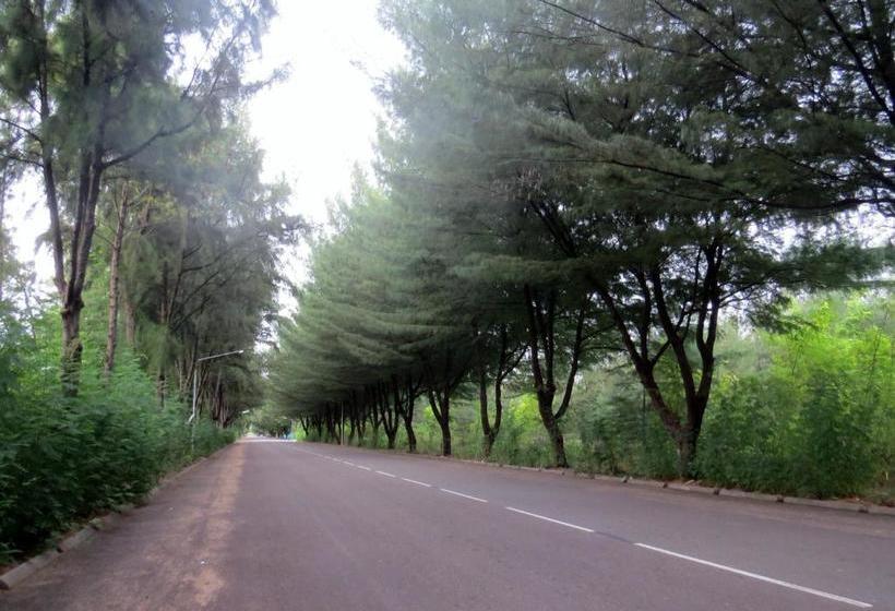 Fotos del hotel Coral Queen Inn:  12