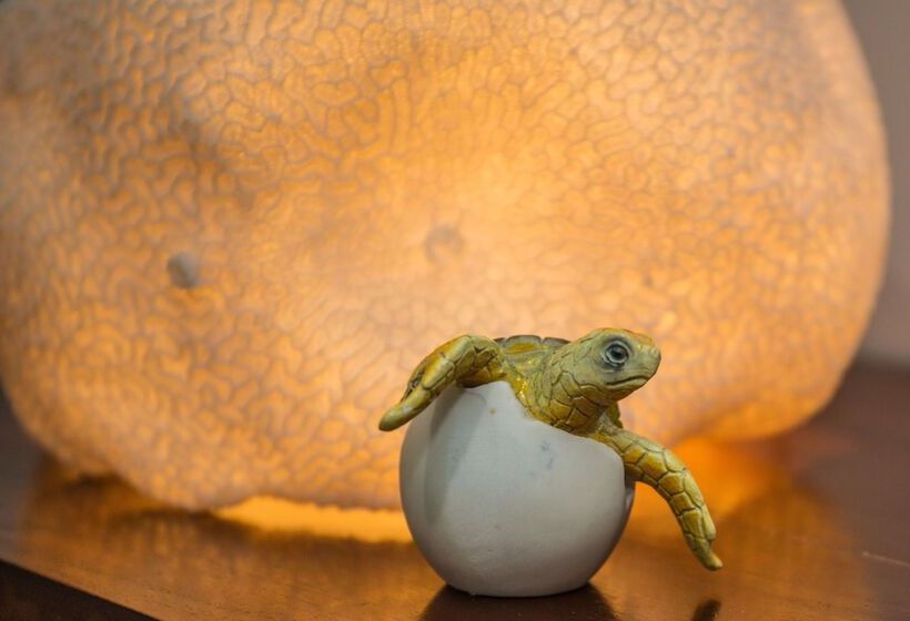 Fotos del hotel Airlie Guest House:  24