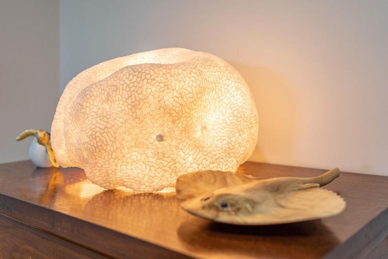 Fotos del hotel Airlie Guest House:  12