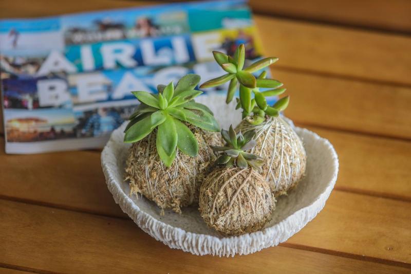 Fotos del hotel Airlie Guest House:  8