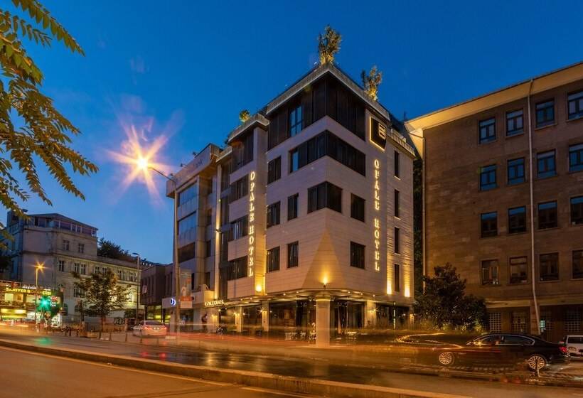 Fotos del hotel Opale:  3