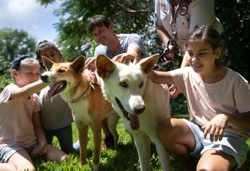 Fotos del hotel Darwin Freespirit Resort:  2