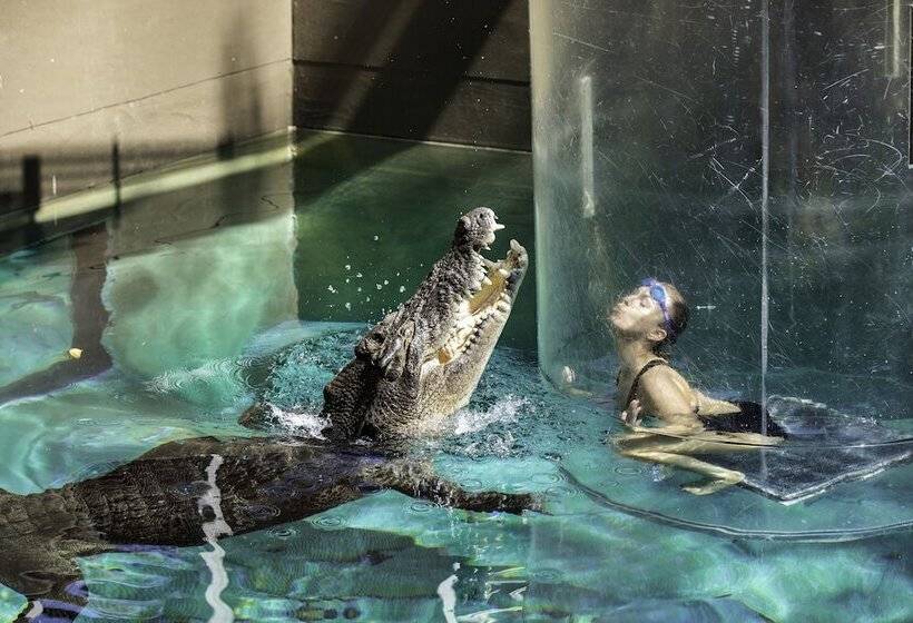 Fotos del hotel Darwin Freespirit Resort:  10