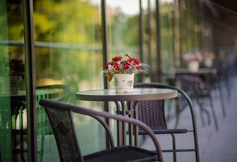 Fotos del hotel Comfort:  11