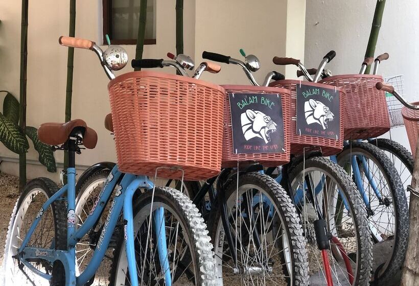 Fotos del hotel Niik Tulum:  19