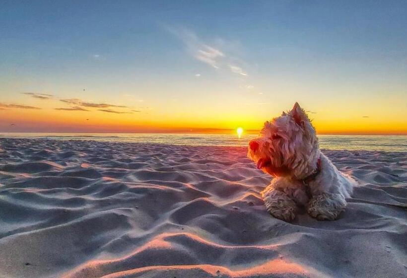 Fotos del hotel Seaside Park:  17