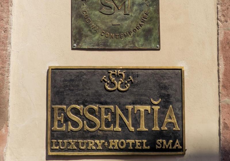 The Essentia Hotel San Miguel