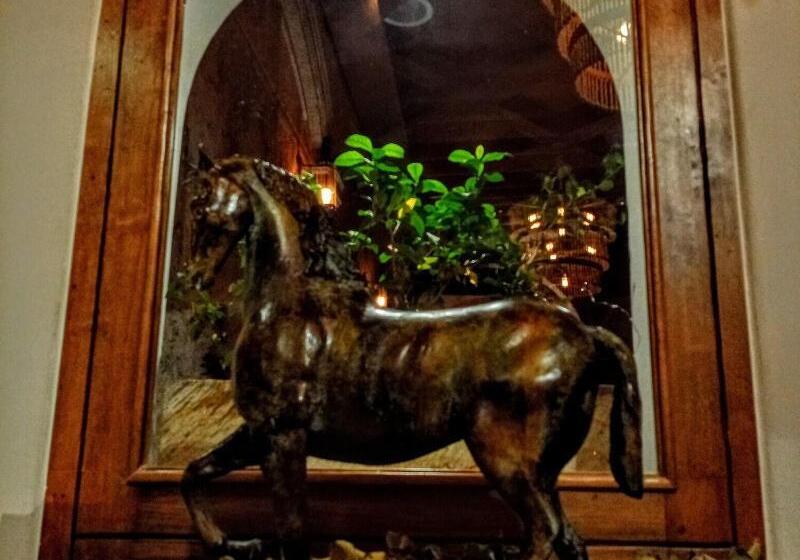 Fotos del hotel The Essentia Hotel San Miguel:  10