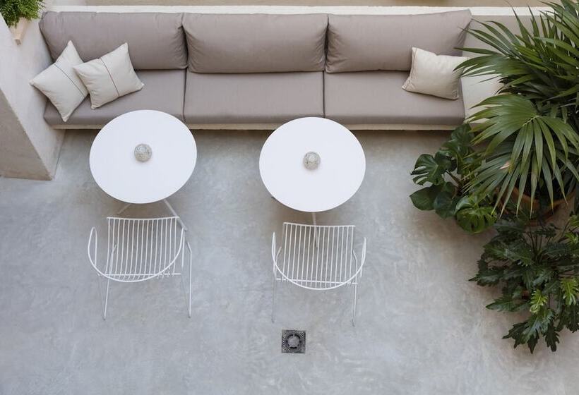 Fotos del hotel Ara Alcudia:  4