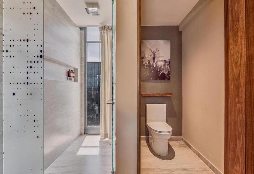 Fotos del hotel Fiesta Americana Viaducto Aeropuerto:  6