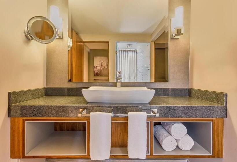 Fotos del hotel Fiesta Americana Viaducto Aeropuerto:  10