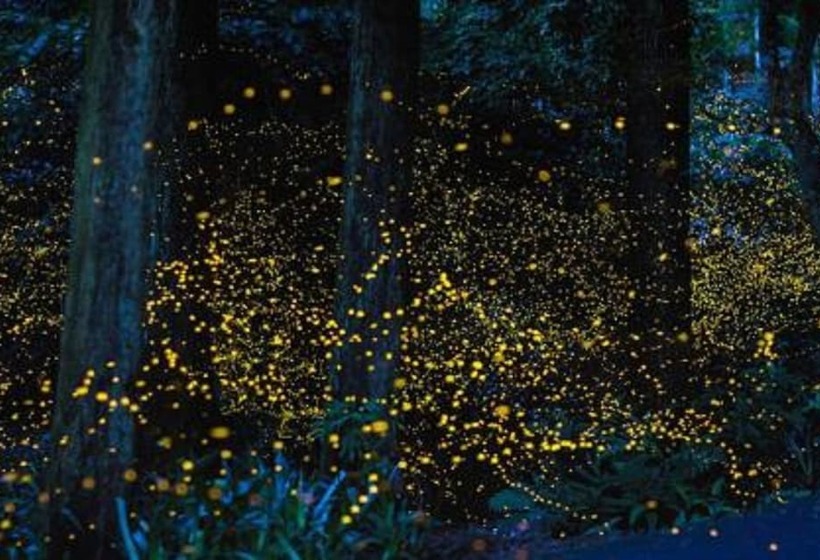 Fotos del hotel The One Boutique:  13