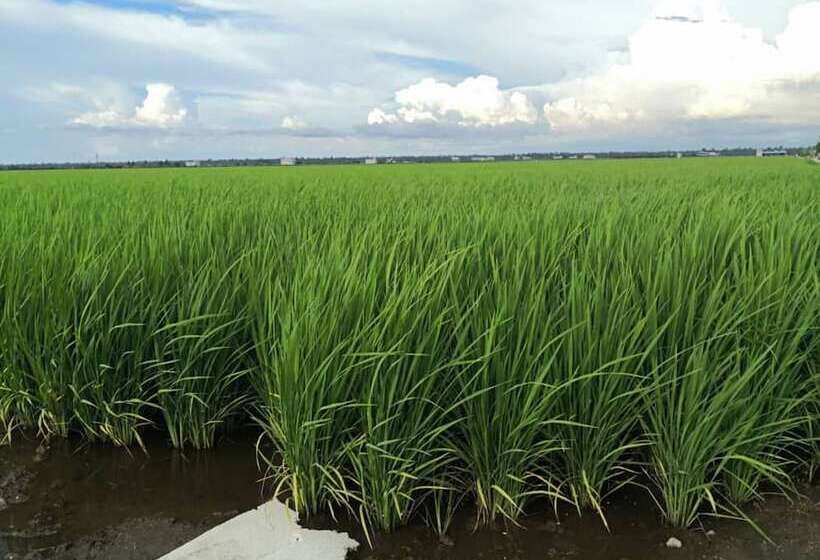 Fotos del hotel The One Boutique:  22